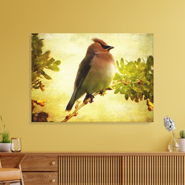 Textured Cedar Waxwing Stretch Canvas Print (Insitu(LivingRoom))
