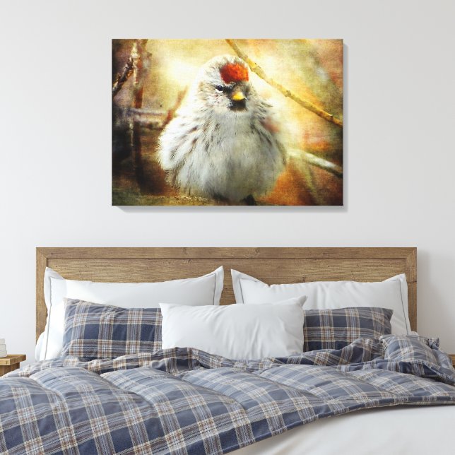 Textured Common Redpoll Warbler Canvas Print (Insitu(Bedroom))