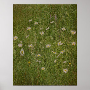Textured Field Of Daisies Floral Print