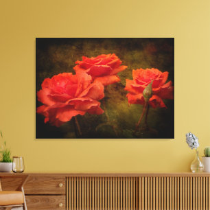 Textured Peach Coloured Roses Canvas Print