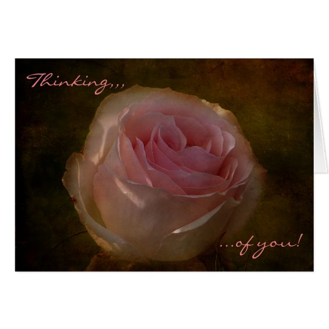 Textured Pink Rose "Thinking of You" Greeting Card (Front Horizontal)
