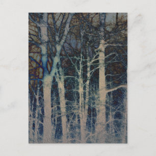 Textured Winter Abstract Postcard