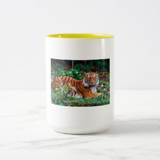 tg mug