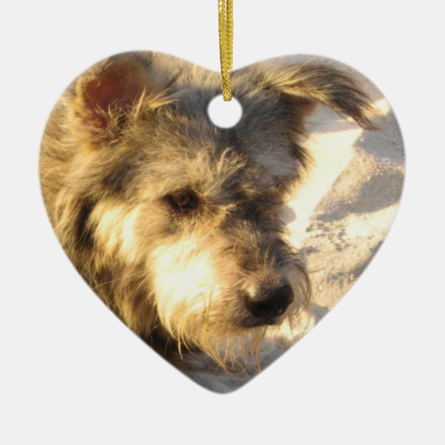 Thai Beach Dog Ceramic Tree Decoration (Front)