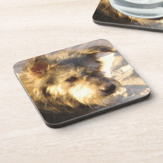 Thai Beach Dog Coaster (Left Side)