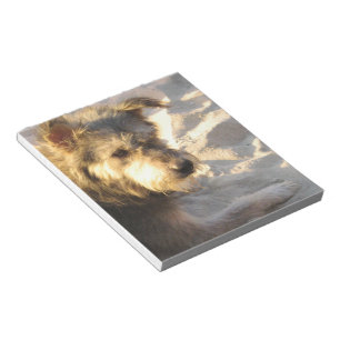 Thai Beach Dog Notepad