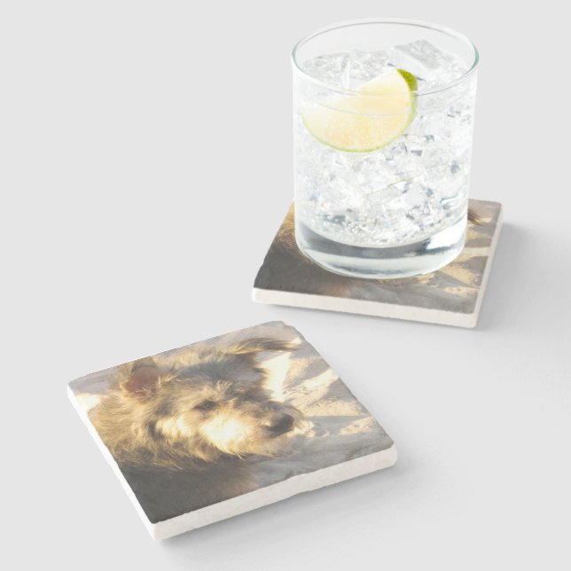 Thai Beach Dog Stone Coaster (Side)