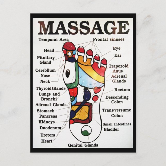 Thai Foot Massage ~ Reflexology map Postcard (Front)