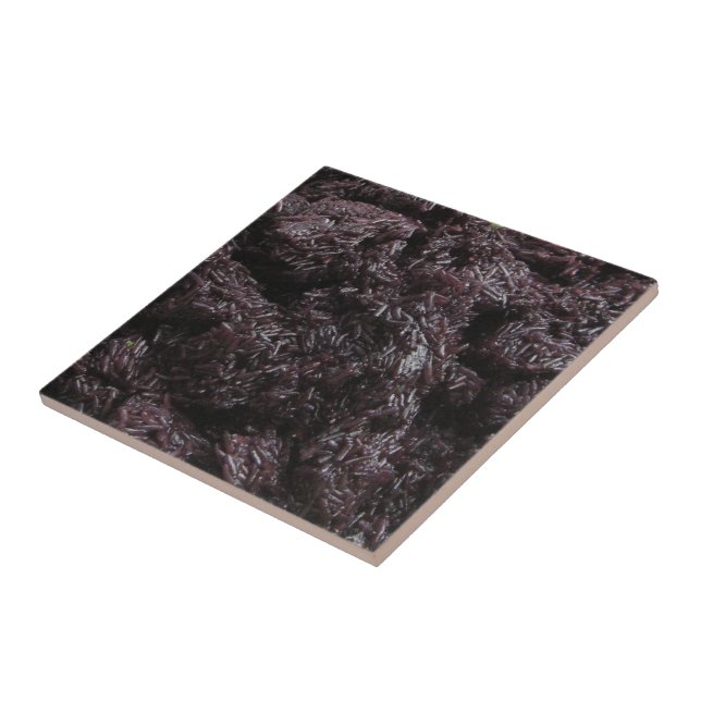 Thai Lao Black Sticky Rice [Khao Niao Dam] Tile (Side)