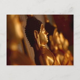 Thai Temple Buddha Statues Photo Postcard