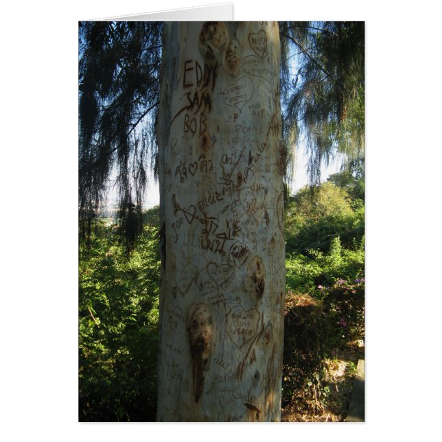 Thai Tree Graffiti Card (Front)
