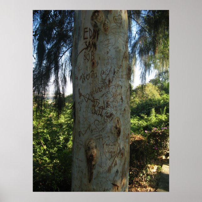 Thai Tree Graffiti Poster (Front)