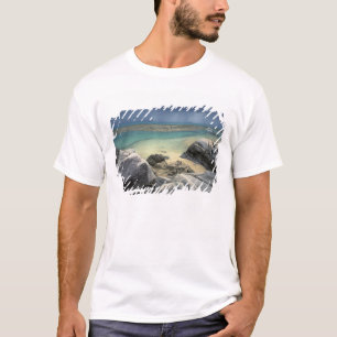 Thailand, Andaman Sea, Ko Phi Phi Island, Scenic T-Shirt