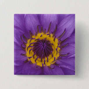 Thailand, Bangkok, Purple and yellow lotus 15 Cm Square Badge