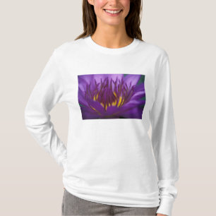 Thailand, Bangkok, Purple and yellow lotus 2 T-Shirt