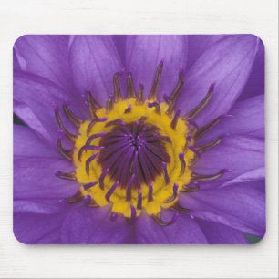 Thailand, Bangkok, Purple and yellow lotus Mouse Pad