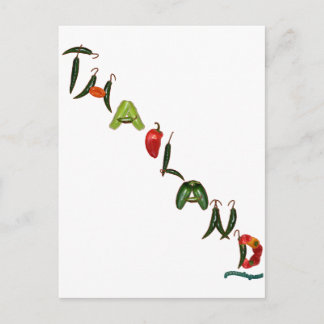 Thailand Chilli Peppers Postcard
