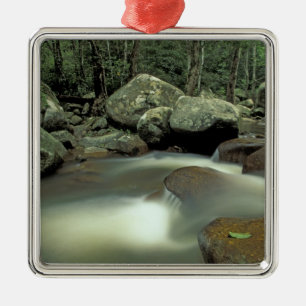 Thailand, Kohsamui Island, Rainforest landscape. Metal Tree Decoration