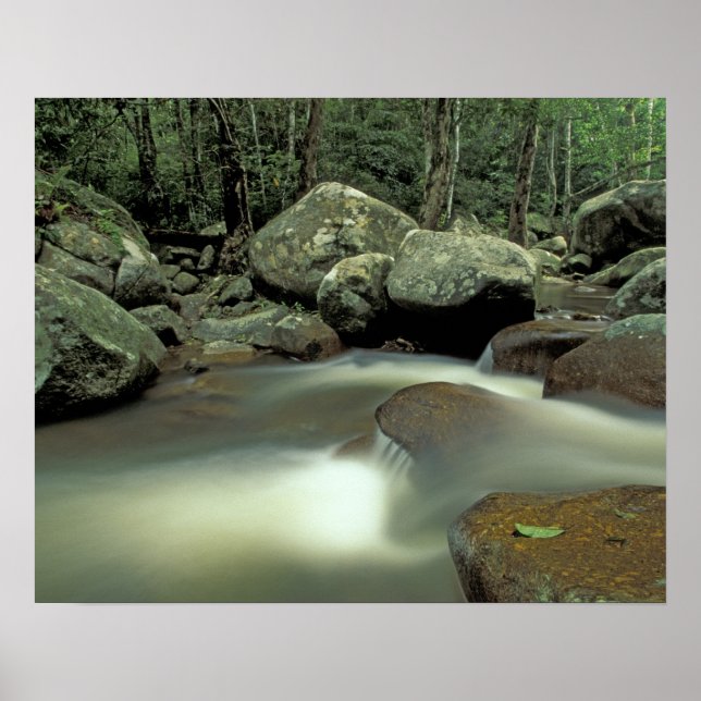 Thailand, Kohsamui Island, Rainforest landscape. Poster (Front)