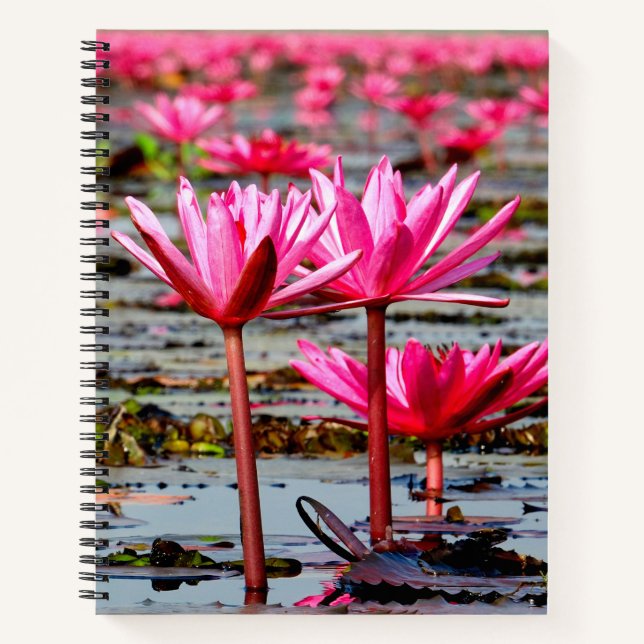Thailand - Kumphawapi Lotus Lake Notebook (Front)