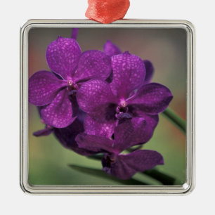 Thailand, Northern Thailand, near Chang Mai, Mae Metal Tree Decoration