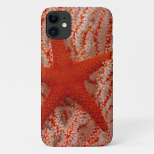 Thailand, Sea Star Aka Starfish Case-Mate iPhone Case