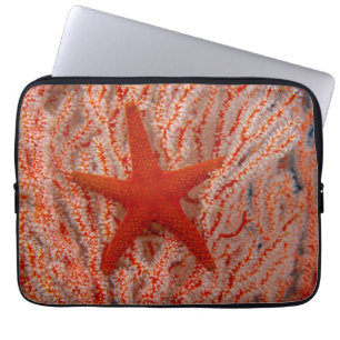 Thailand, Sea Star Aka Starfish Laptop Sleeve
