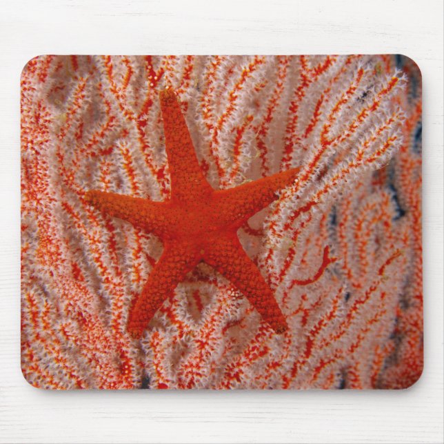 Thailand, Sea Star Aka Starfish Mouse Pad (Front)