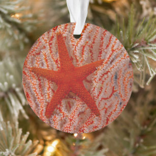 Thailand, Sea Star Aka Starfish Ornament