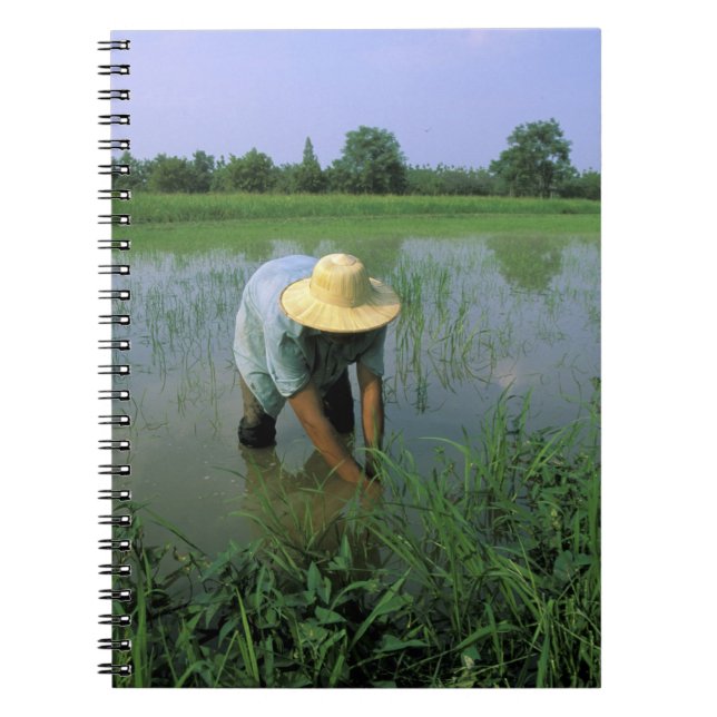 Thailand, Sukhothai. Rice farmer. MR. Spiral Notebook (Front)