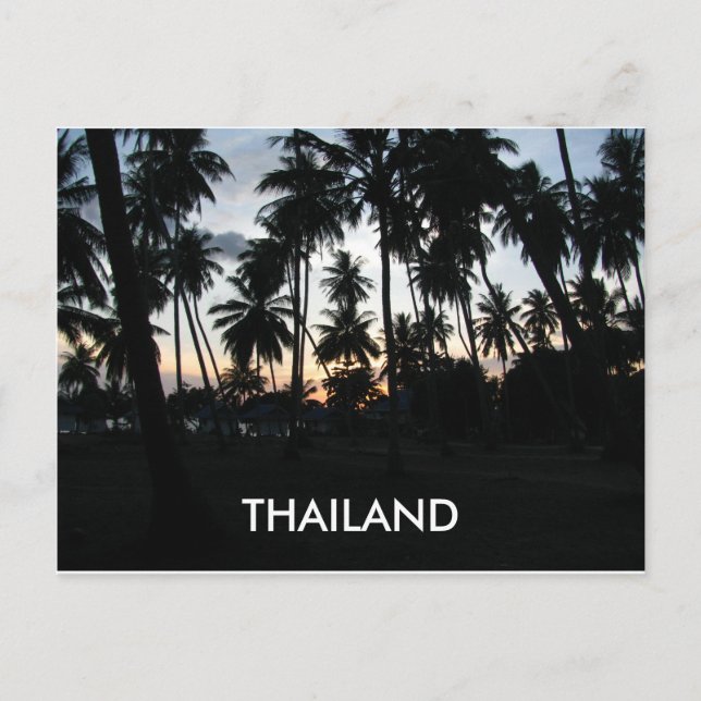 Thailand Sunset Palm Trees Photo Postcard (Front)