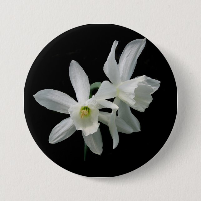 Thalia Narcissus Black and White Daffodil Button (Front)