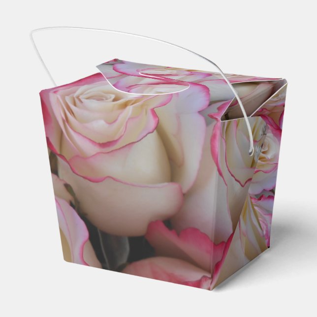 Thamar Favour Box (Back Side)