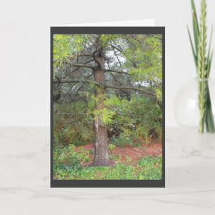 Thank a Soldier 41 Holiday Card