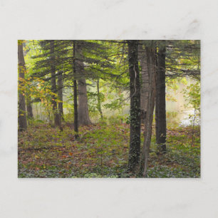 Thank a soldier, DSCF7047 Postcard