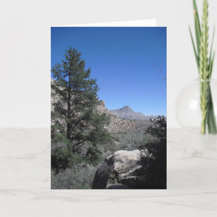 Thank a Soldier, Vegas 09 274 You Card