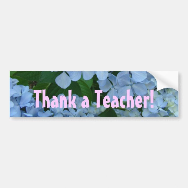 Thank a Teacher! bumper stickers Teach Teaching (Front)