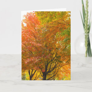 Thank a Veteran, DSCF8707 Thank You Card