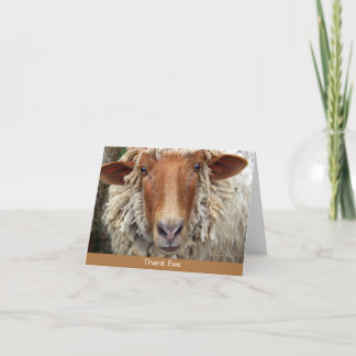 Thank Ewe: A whimsical card