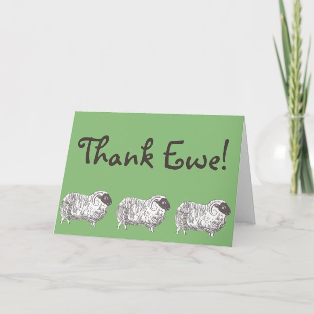 Thank Ewe! Sheep Greeting Card (Front)
