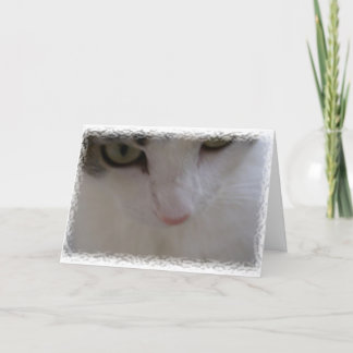 Thank Mew Thank You Card