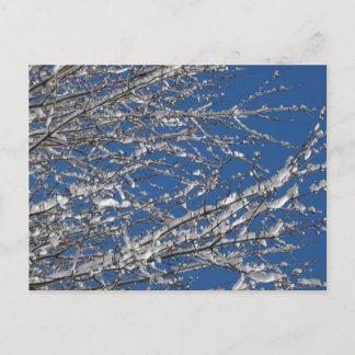 Thank Our Service Members ~ 14 Postcard