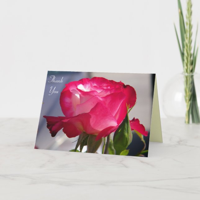 Thank You/ Any Occasions_Card Thank You Card (Front)