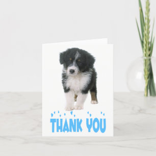Thank You Australian Shepherd Puppy Dog Card