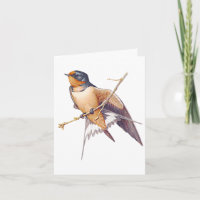 Thank You - Barn Swallow