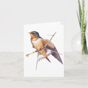 Thank You - Barn Swallow Card
