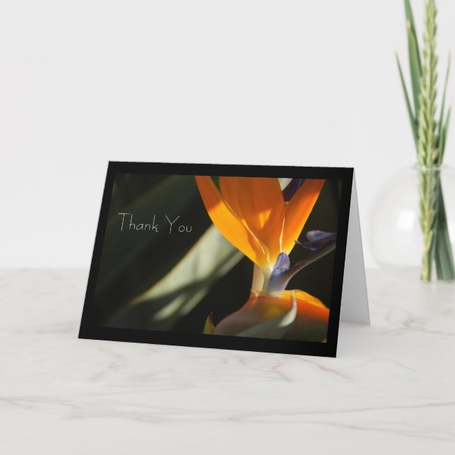 THANK YOU Bird-of-Paradise Card (Front)