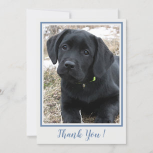 Thank You Black Labrador- Blue Grey Cute Puppy Dog