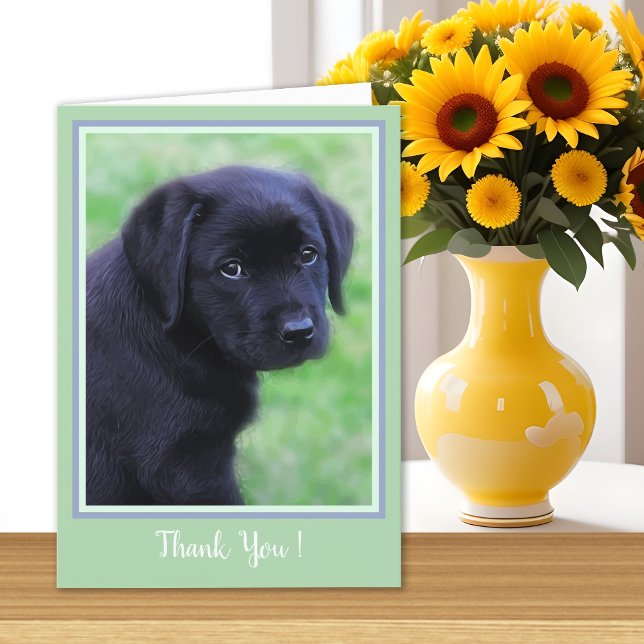 Thank You Black Labrador Puppy - Cute Dog (Creator Uploaded)