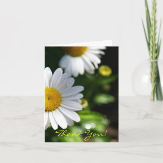 Thank You Blank, Daisy Card